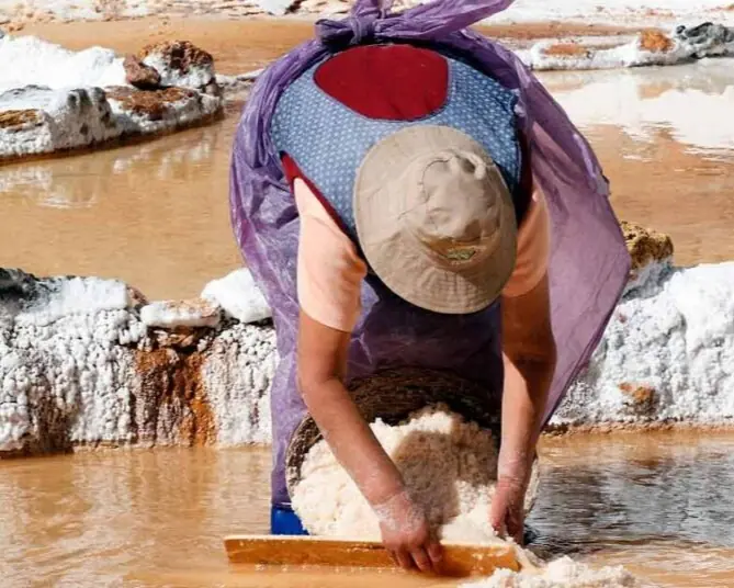 Sal Rosada vs Sal Convencional: Diferencias, Beneficios y Uso en la Cocina Gourmet